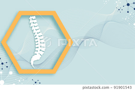 bone, skeletal, skeleton 91901543