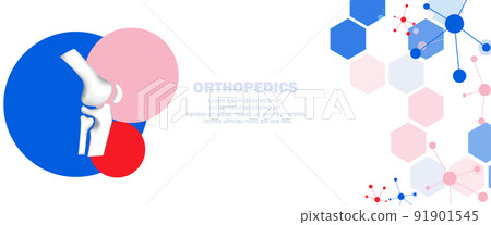 knee, leg, x-ray 91901545