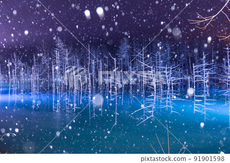 (北海道風景)美瑛燈火通明的藍色池塘 (北海道風景)美瑛燈火通明的藍色池塘 91901598