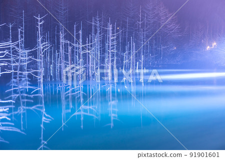 (Landscape of Hokkaido) Illuminated blue pond in Biei 91901601