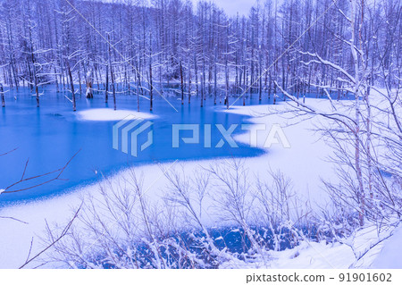 (Landscape of Hokkaido) Freezing blue pond 91901602