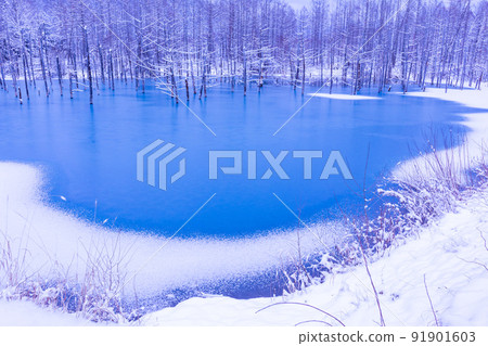 (Landscape of Hokkaido) Freezing blue pond (Landscape of Hokkaido) Freezing blue pond 91901603