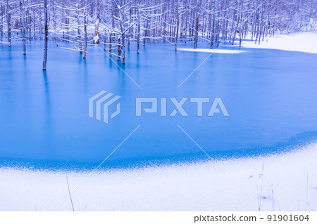 (Landscape of Hokkaido) Freezing blue pond (Landscape of Hokkaido) Freezing blue pond 91901604