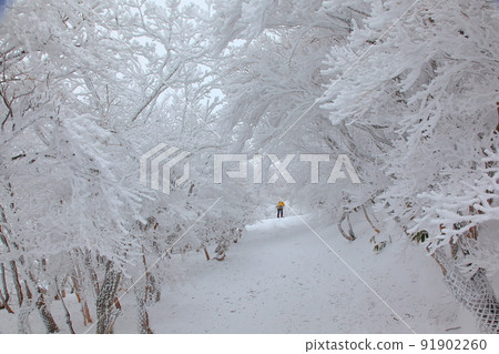 Winter mountain trekking Winter mountain trekking 91902260
