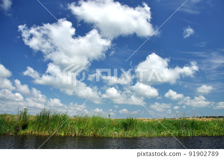 Water channel in Danube delta, Romania 91902789