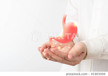 Healthy stomach organ hologram on human hands. Concept of gastric cancer screening, stomach transplant, digestive tract problem and stomach disease treatment. 91903094