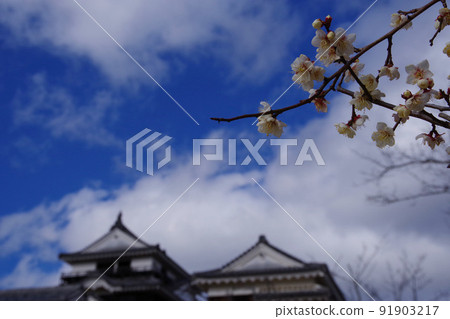 愛媛縣梅松山城，城堡塔，傳統建築 91903217