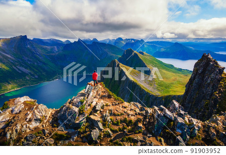 Hiker standing on the top of Husfjellet Mountain on Senja Island in Norway 91903952