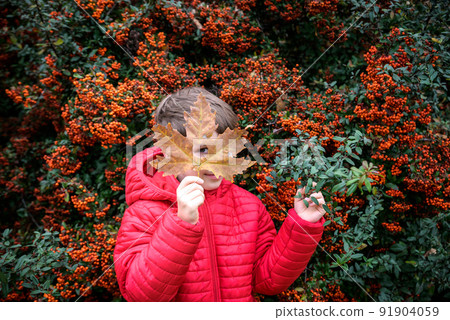 The boy looking through the hole heart-shaped in the maple leaf. The boy looking through the hole heart-shaped in the maple leaf. 91904059