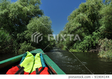 Exploring Danube delta with a boat 91904144