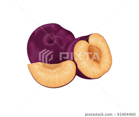 Plum. Ripe purple plum. Fresh sweet plum. Ripe juicy plum berry in the section. Vegetarian organic product. Vector illustration isolated on a white background 91904460