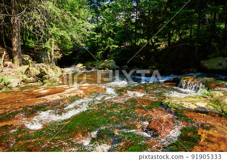 Lomnica river in Karpacz mountains in Poland, Fast mountain cascade river with stones, Beautiful nature landscape Lomnica river in Karpacz mountains in Poland, Fast mountain cascade river with stones, Beautiful nature landscape 91905333