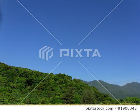 sky sky 91906348