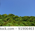 天空 91906463