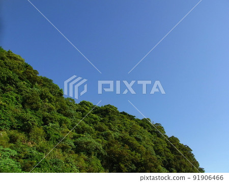 sky 91906466