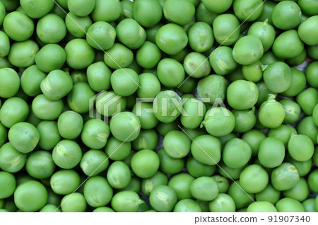 Pea, peas, green 91907340