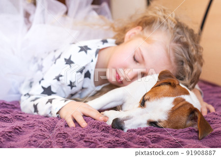 A blonde little girl in pajamas with asterisks and a dog Jack Russell Terrier sleep together in an embrace. The concept of love for pets, friendship, hugs, childhood. Daytime sleep. Day of dogs. A blonde little girl in pajamas with asterisks and a dog Jack Russell Terrier sleep together in an embrace. The concept of love for pets, friendship, hugs, childhood. Daytime sleep. Day of dogs. 91908887