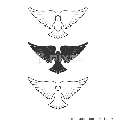 Dove, a symbol of peace and purity. The biblical symbol of the Holy Spirit. Dove, a symbol of peace and purity. The biblical symbol of the Holy Spirit. 91910406