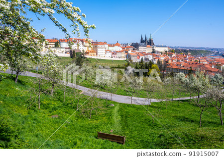 Prague Castle on sunny spring day 91915007