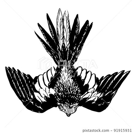 tiel18 tiel18 91915931