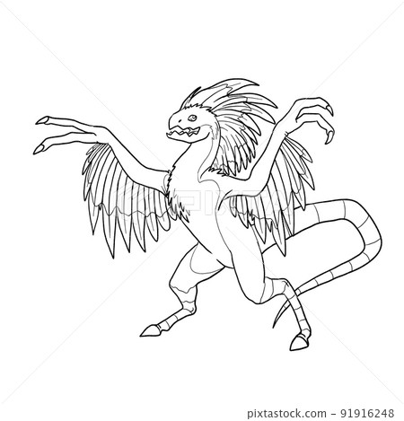 Black and white coloring page ink illustration of a dragon. Black and white coloring page ink illustration of a dragon. 91916248