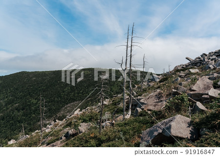 Mountain landscape. View from Mount Pidan. Livadia mountain peak. Russia. Vladivostok 91916847