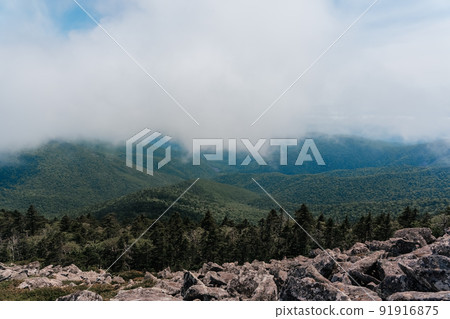 Mountain landscape. View from Mount Pidan. Livadia mountain peak. Russia. Vladivostok 91916875