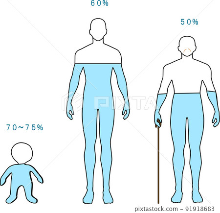 Moisture content in children, adults and the elderly 91918683
