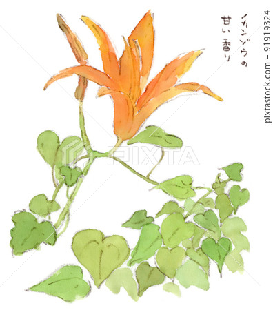 Watercolor illustration of daylily flowers and yam vines blooming in the grass in July 91919324