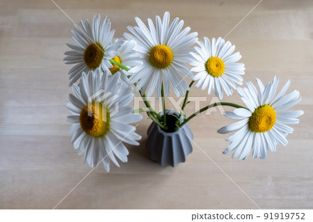 Flowers Flowers 91919752