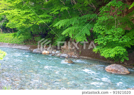 Shima Onsen, the flow of the Shima River, near the Kirikidaira parking lot, the fresh green season Shima Onsen, the flow of the Shima River, near the Kirikidaira parking lot, the fresh green season 91921020