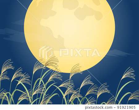Full moon and pampas grass background 91921905