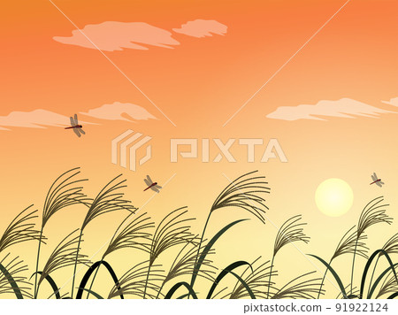 日本蒲葦和日落_風景_背景 日本蒲葦和日落_風景_背景 91922124
