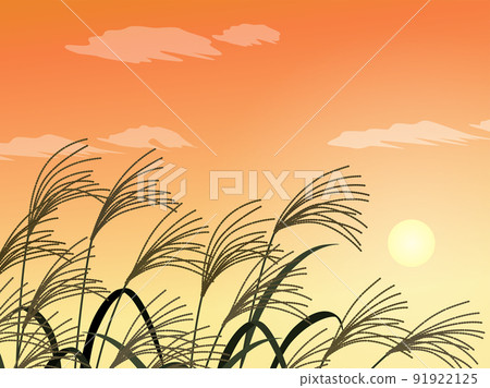 日本蒲葦和日落_風景_背景 日本蒲葦和日落_風景_背景 91922125