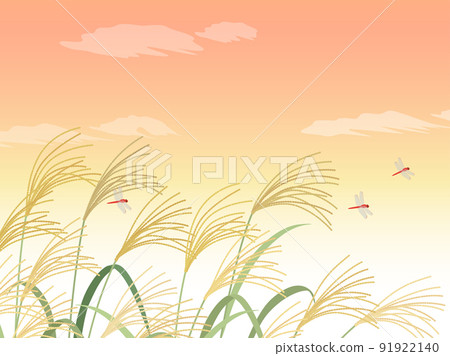 Japanese pampas grass and sunset_landscape_background 91922140