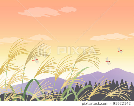 日本蒲葦和日落_風景_背景 91922142