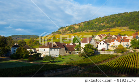 Image of Saint-Aubin, Burgundy - french village with famous vineyards 91922176