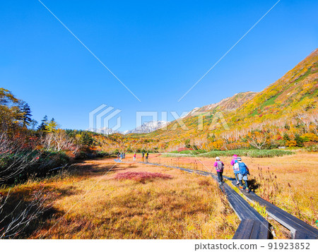 Tsugaike自然花園(秋季) Tsugaike自然花園(秋季) 91923852