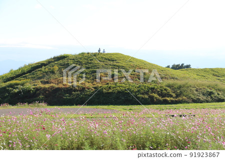 高崎市二子山古墓,秋天櫻花盛開 高崎市二子山古墓,秋天櫻花盛開 91923867
