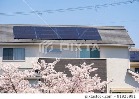 House with cherry blossoms and solar panels Solar power generation ecosystem 91923991