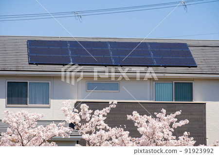House with cherry blossoms and solar panels Solar power generation ecosystem 91923992