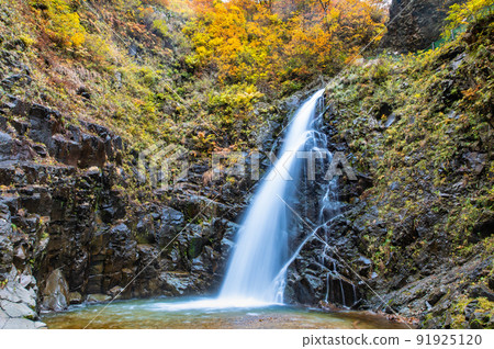 Shirakami Mountains of Autumn Leaves in Aomori Prefecture-Anmon Falls (Daiichi no Taki)- 91925120