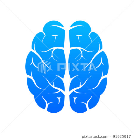 Human brain medical. Internal organ. Neural network. Brainstorming, idea. Human brain medical. Internal organ. Neural network. Brainstorming, idea. 91925917