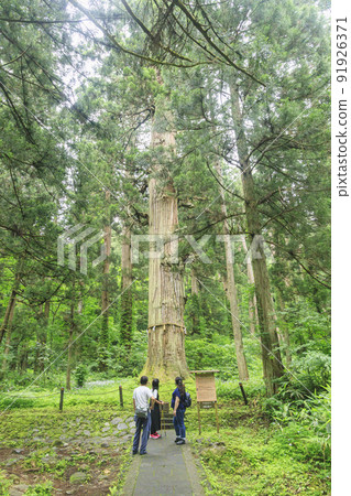 Mt. Dewa, Mt. Haguro Mt. Dewa, Mt. Haguro 91926371