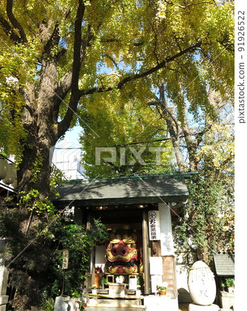 Namiyoke Shrine in Tsukiji, where the yellow leaves of ginkgo are beautiful (Benzaiten Otoguro Lion, Egg Mound) 91926522