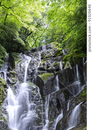 Beautiful Shiraito Waterfall, a popular tourist spot in Itoshima (Itoshima City, Fukuoka Prefecture) Beautiful Shiraito Waterfall, a popular tourist spot in Itoshima (Itoshima City, Fukuoka Prefecture) 91926646