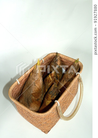 I picked bamboo shoots in the back mountain I picked bamboo shoots in the back mountain 91927880
