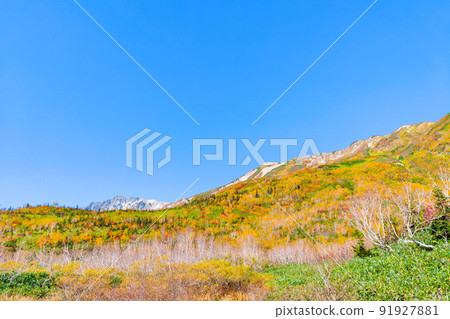 Tsugaike Nature Garden (Autumn) Tsugaike Nature Garden (Autumn) 91927881
