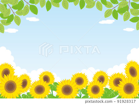 Sunflower_summer_background_horizontal Sunflower_summer_background_horizontal 91928317