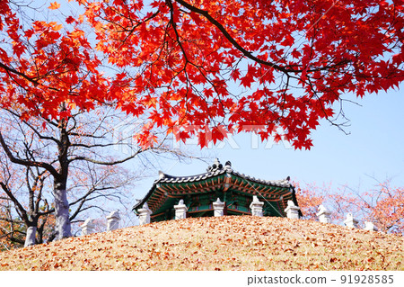 夢村亭的秋天 夢村亭的秋天 91928585